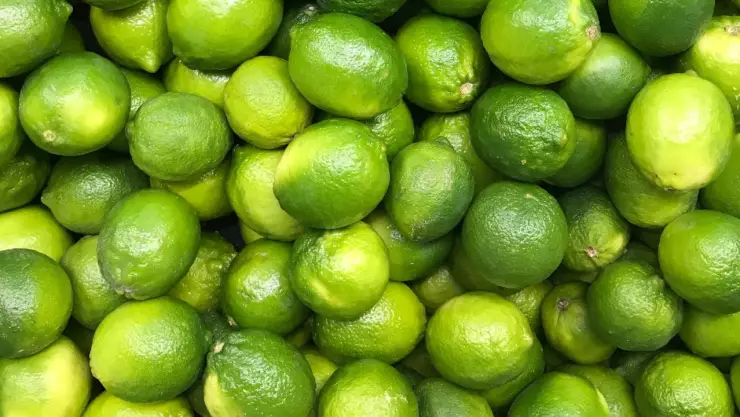 precio del limon en yucatan incrementa