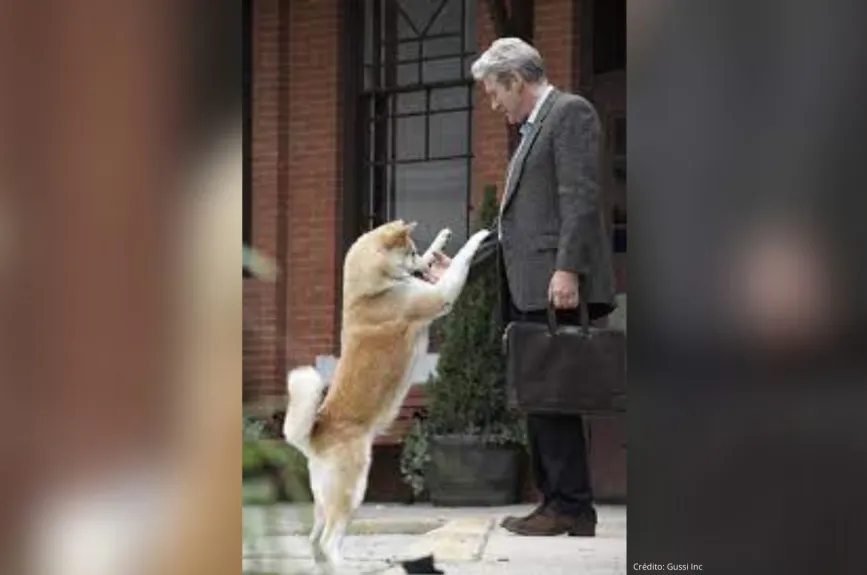 Famosos con un Hachiko en su vida (13).jpg