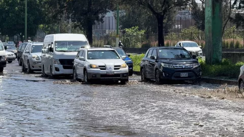 Calendario Hoy No Circula 21 de julio.jpg
