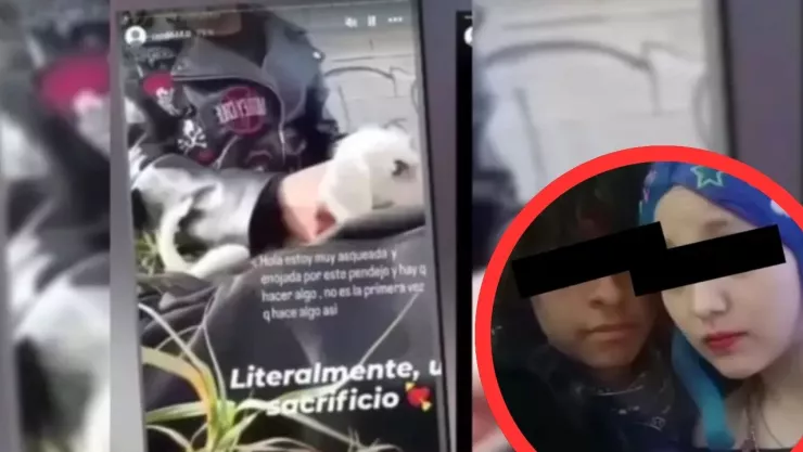 Maltrato animal conmociona a Nuevo León: menores publican video asesinando a cachorro en presunto ritual