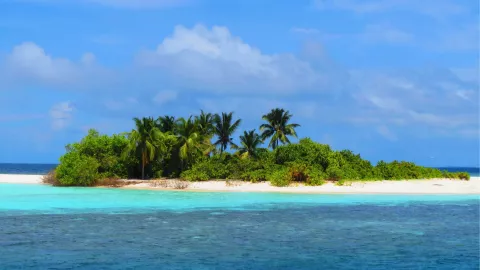 ¿Se puede nadar con elefantes en una playa cerca de Aguascalientes El paraíso que pocos conocen