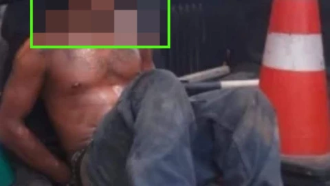 Para evitar ser detenido, hombre sube a un árbol en Tizimín