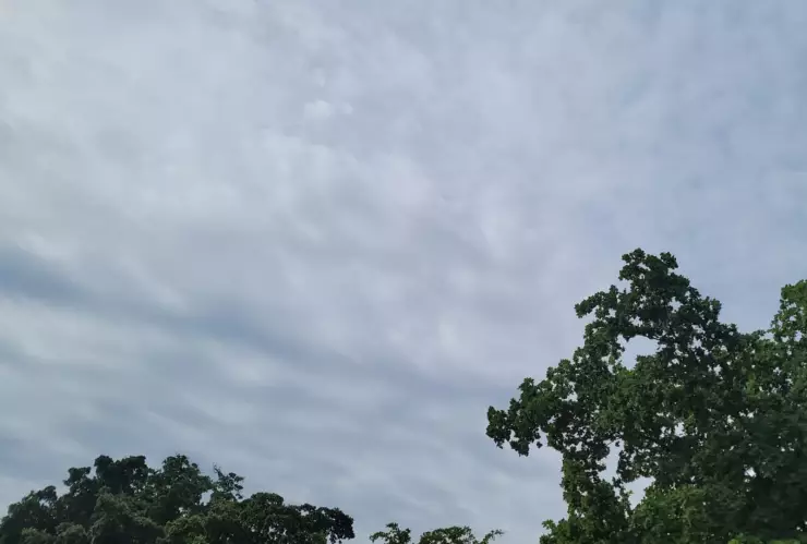 Clima- cielo nublado