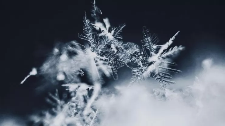 SMN pronostica amenaza de lluvia engelante y temperaturas bajo cero en Zacatecas: ¿qué es y cómo afecta este fenómeno?