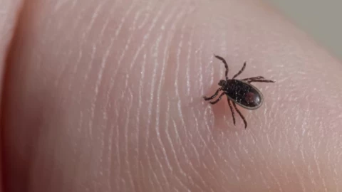 Portada - 2025-12-11T133023.792.png