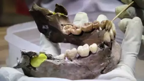 Revelan mezcla entre primeros humanos de Indonesia y Siberia