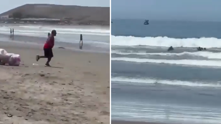 Vendedor ambulante.png