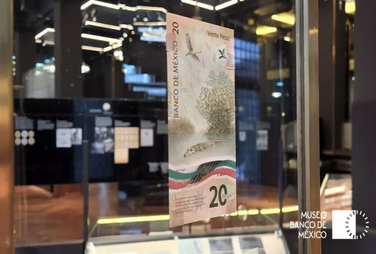 billete-veinte-pesos