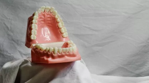 Medicamento, dientes, regenerar b.jpg