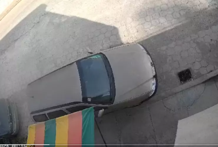 VIDEO FUERTE: Conductor de pipa ATROPELLA a perrito en Cuautlancingo