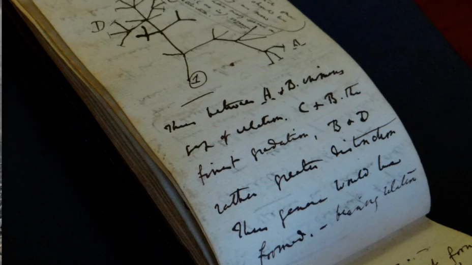 Cuadernos del naturalista Charles Darwin.