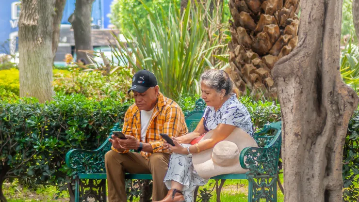 ¿Cuántos adultos mayores usan internet en México?
