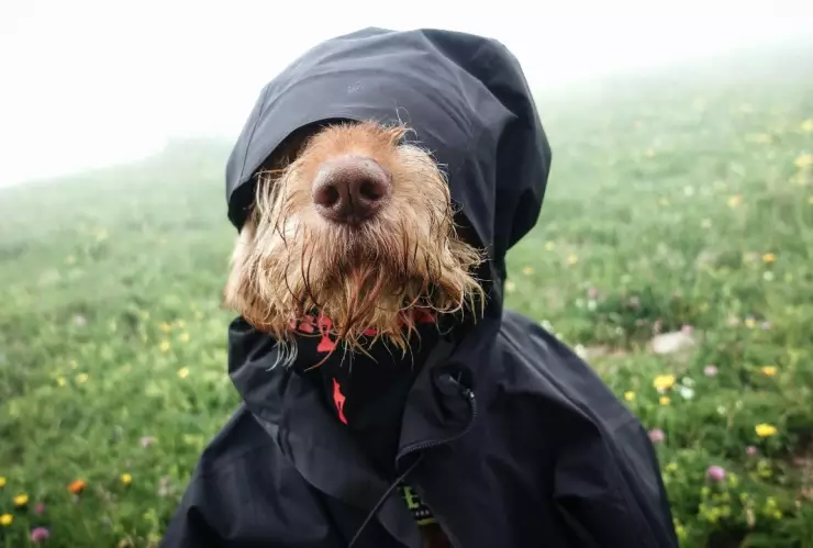 Estas-son-las-alcaldías-de-CDMX-en-las-que-se-activo-la-alerta-amarilla-por-frío-intenso