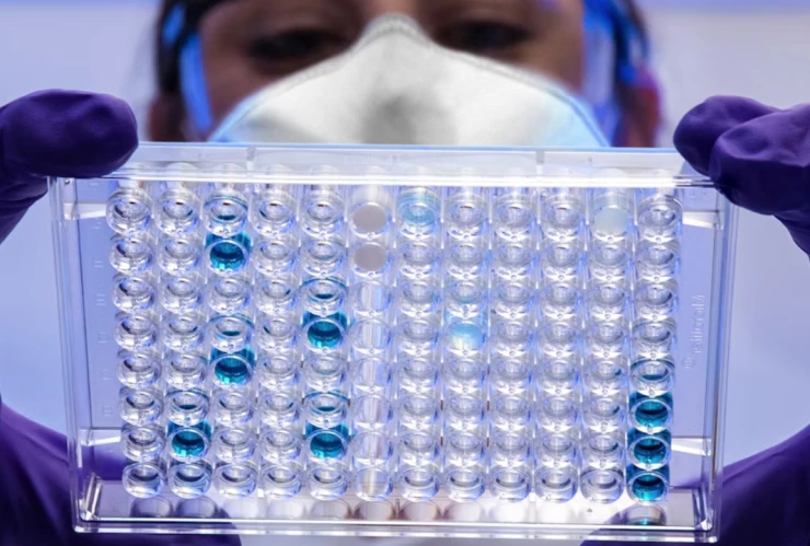 Lanzan advertencia por un virus poco conocido transmisible a humanos y sin cura 
