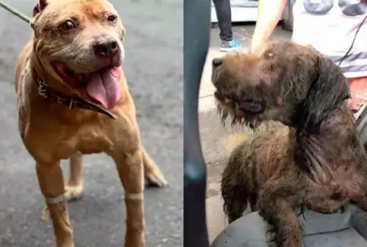 Explosión en Iztapalapa