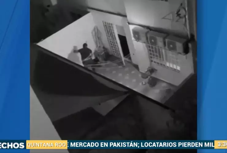 Revelan el supuesto detonante de la agresión a las perritas Bagheera y Muñeca en Solidaridad