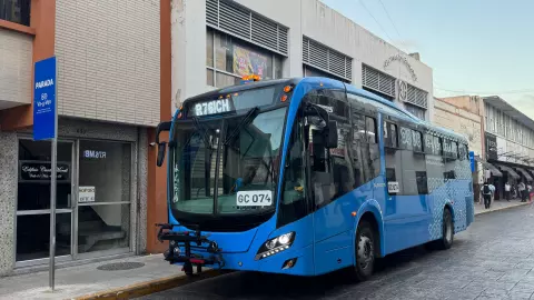 Paraderos en el Centro Histórico de Mérida: Así inició su reubicación este 31 de enero de 2025