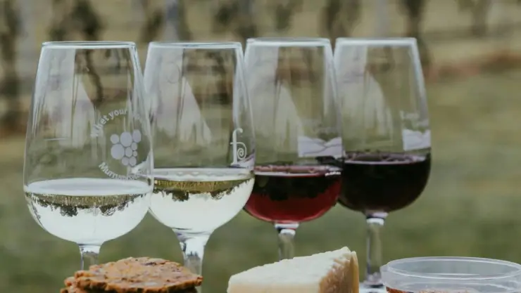 vino de Ensenada