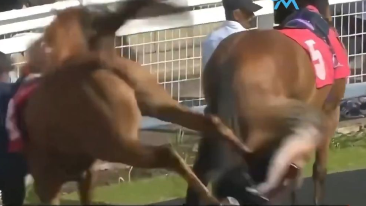 Hipodromo Reino Unido