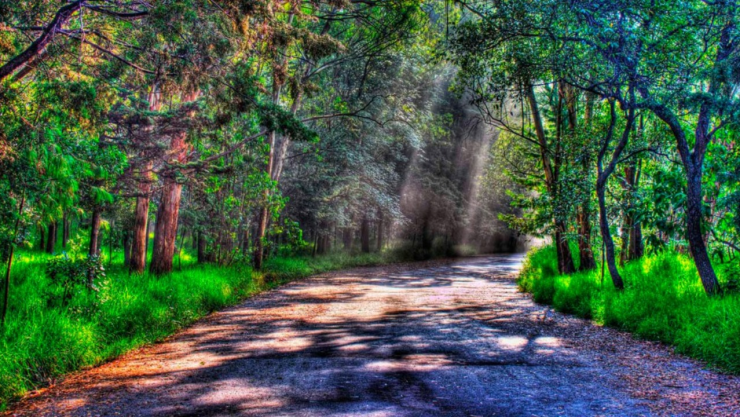 ¡Al aire libre! Estos son los cinco lugares para ejercitarse en la CDMX