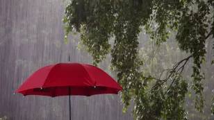  Lluvias en México el 28 de julio 