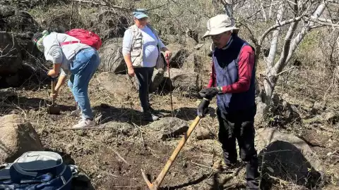 Fosas clandestinas en Ciudad Juárez Michoacán cuerpos