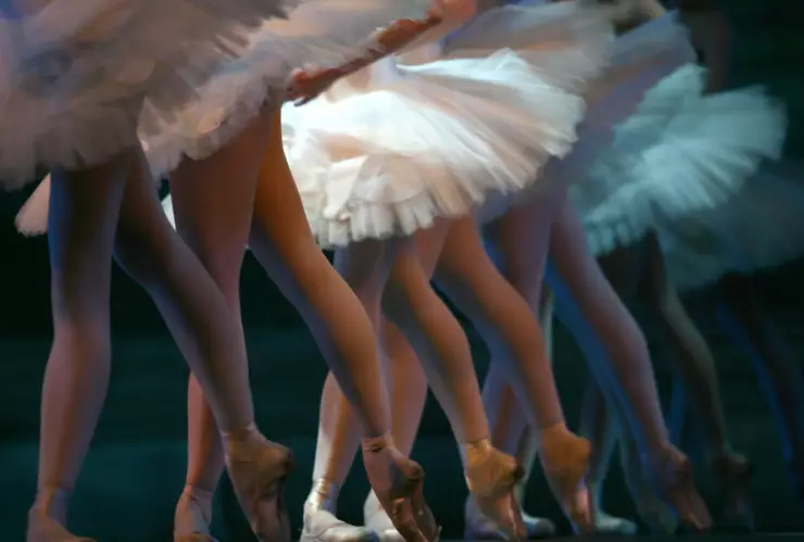 El Lago de los Cisnes CDMX