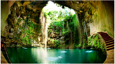 Mayas