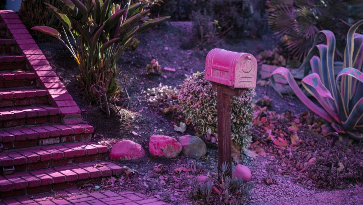 El Polvo rosa utilizado para combatir los incendios en Los Ángeles comienza a pintar casas, jardines y patios de su característica tonalidad.