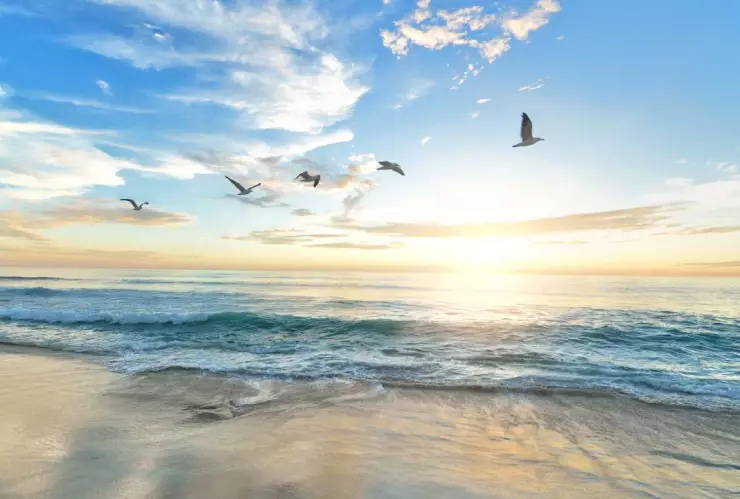 Clima HOY 3 de marzo en Quintana Roo y Campeche: Continúa surada