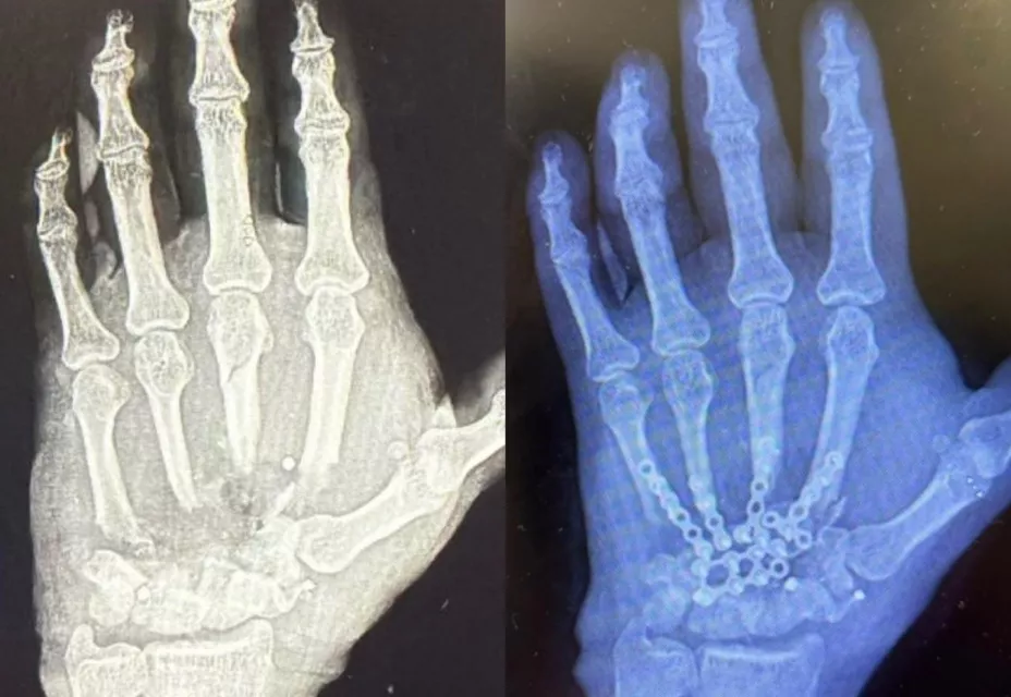 WhatsApp Image 2026-02-25 at 12.28.45 PM.jpg