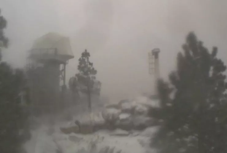 Estado de la Sierra San Pedro Mártir en marzo de 2025