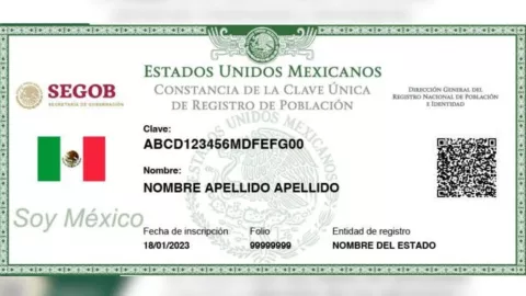 Estos debes hacer si tu CURP no está certificada