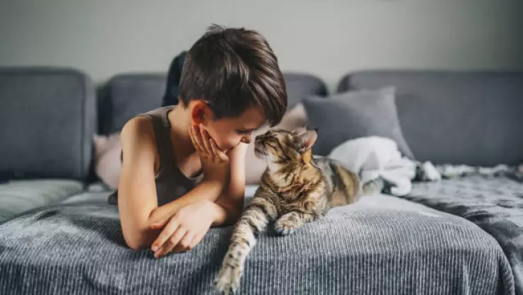 Por qué ronronean los gatos, beneficios para los humanos