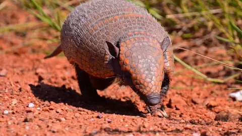 Efemérides del 13 de agosto: ¿Qué sucedió en México y el mundo?