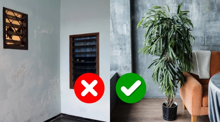 Qué hacer con una esquina vacía de la sala: 5 soluciones para convertirla en un espacio útil