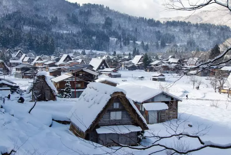 Mujer muere congelada en California.