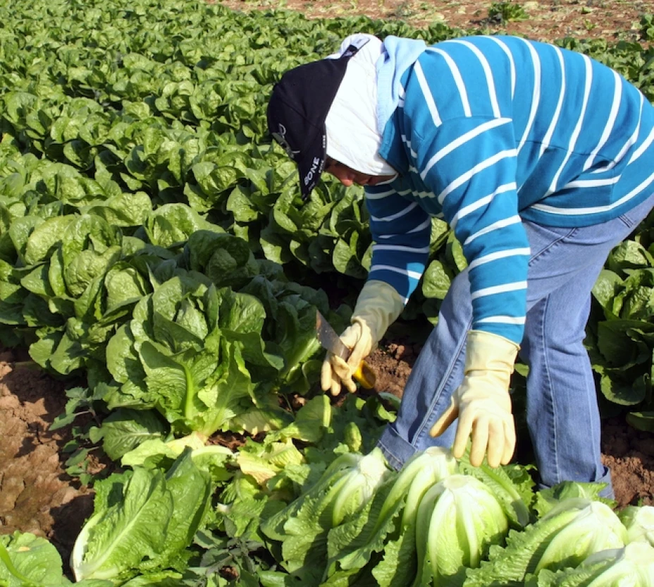 Cobran hasta 8 dólares diarios por llevar y traer empleados