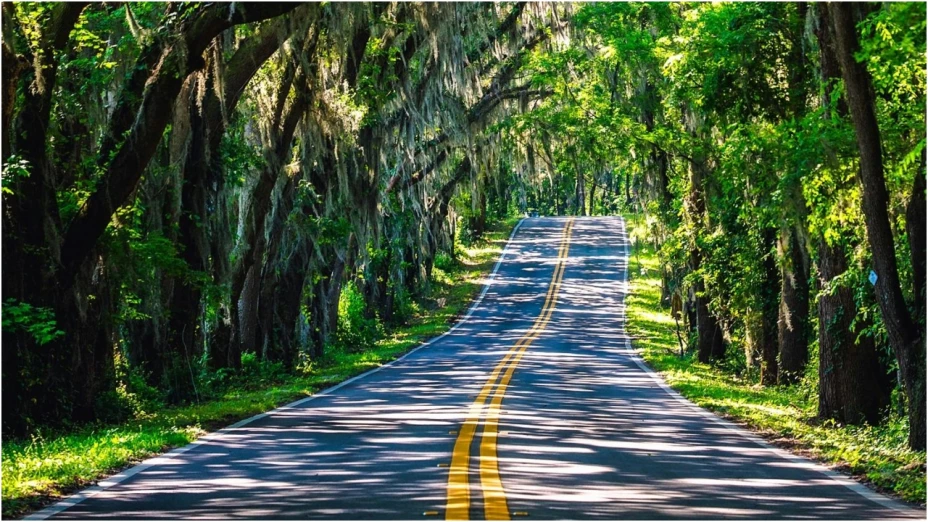 Esta es la mejor hora para viajar por carretera a las playas de Puerto Vallarta
