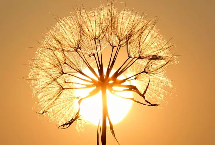 onda de calor en queretaro.jpg