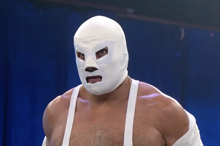 Lucha Fighter