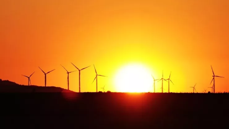 Estados afectados por onda de calor de larga duración en EU