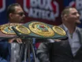3 andy ruiz box boxeo datos curiosos.jpg