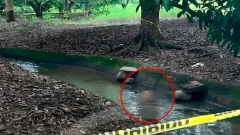 Encuentran cuerpo decapitado en la colonia La Cigüeña en Tapachula