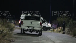 perro muerde cráneo Brisas del Campestre León