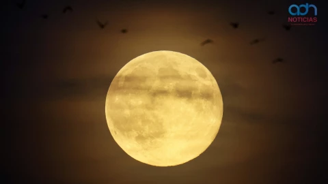 Luna Llena de Castor, Superluna noviembre de 2025
