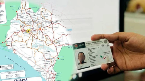 Licencia de conducir permanente gratis