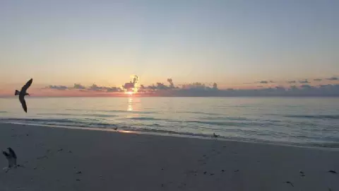 Clima en Cancún hoy 24 de septiembre Vigilan zona de baja presión