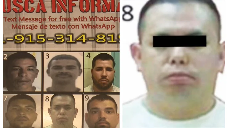 el wok mas buscados eu mexico