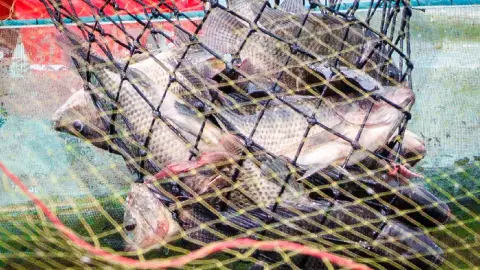 Pesca en Guerrero